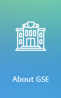 About GSE
